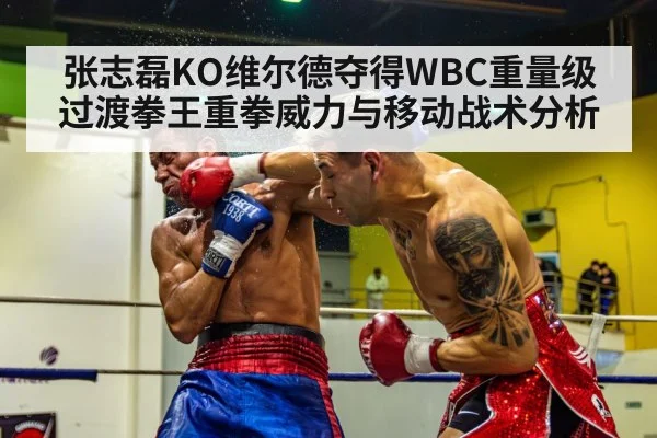 张志磊KO维尔德夺得WBC重量级过渡拳王重拳威力与移动战术分析 - jiuyou game
