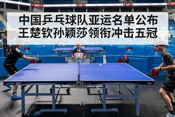 table tennis competition